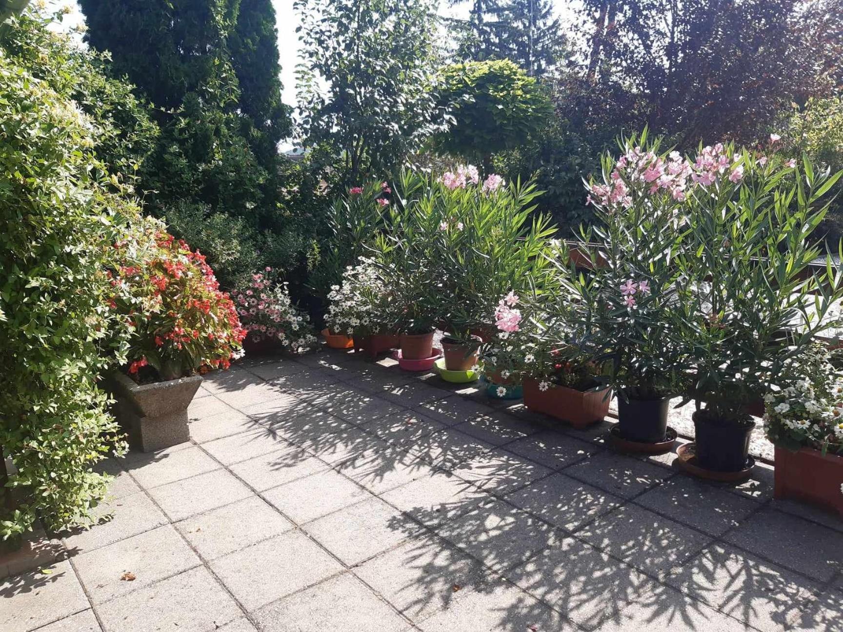 Gyoengyvirag Apartment Romhány Exterior foto